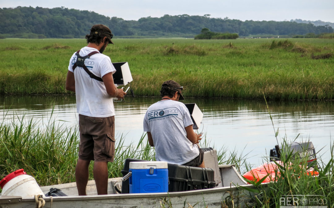 ? – Tournage dans les marais de Kaw