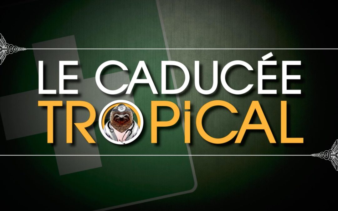 ? – Fin de tournage de la série « Le caducée tropical »